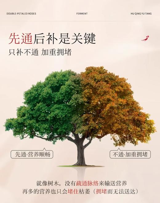 ⁴【林博家人参玫瑰花容饮】人参+玫瑰花双向发酵 10支/盒YC04-CR-YXY 商品图4