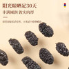 福东海 精选桑葚干500g 无沙黑桑椹干即食泡水养生茶 商品缩略图5