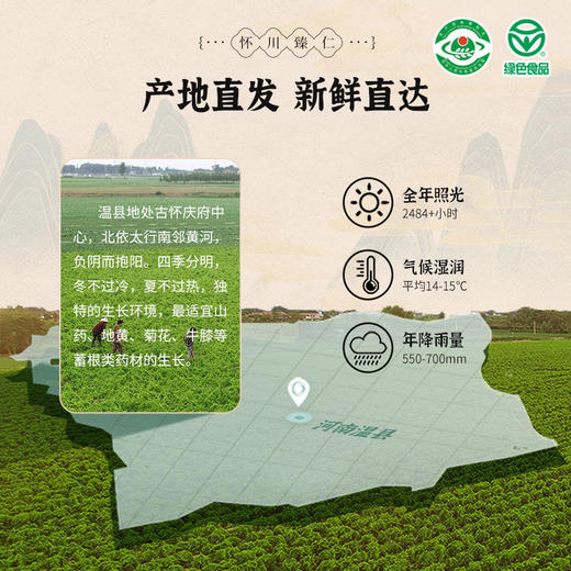 【绿色食品认证】温县怀川臻仁中原贡品铁棍山药5斤包邮 新鲜采挖，产地直发 商品图7