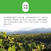 徐香猕猴桃 陕西眉县 新鲜包邮 大果当季整箱水果 孕妇 正宗绿心奇异果 商品缩略图1