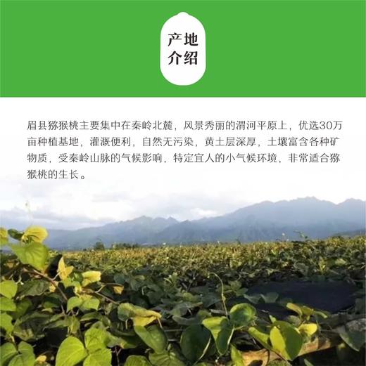 徐香猕猴桃 陕西眉县 新鲜包邮 大果当季整箱水果 孕妇 正宗绿心奇异果 商品图1