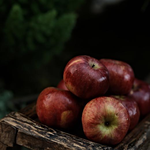 艺游凉山礼盒大凉山柏林湖庄园高山苹果 商品图2