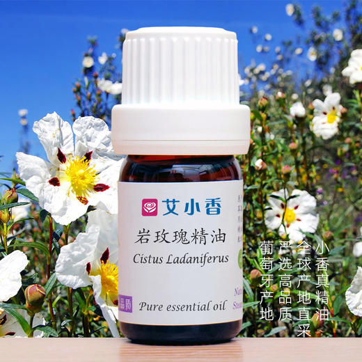 岩玫瑰精油  葡萄牙产地直采 心灵情绪香氛沉静香气「产地团购 不送精油」 商品图1