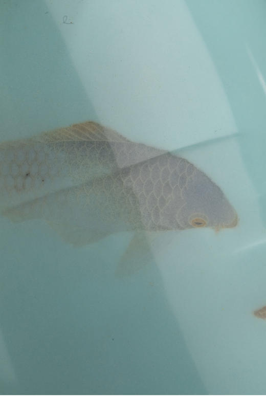 独角鹿西洋古董20世纪日本大正时期七宝烧大师権田広助出品「遊鯉」主题七宝烧赏瓶一对 商品图8