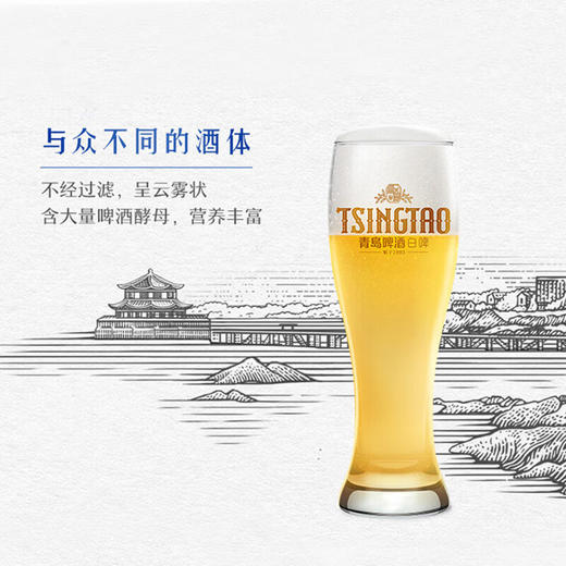 青岛精酿白啤全麦酿造 500ml 商品图2