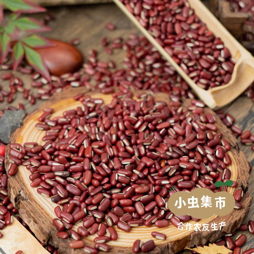 生态赤小豆 500g/袋 | 合作农友生产，来自贵州黎平洋洞村，生产者:杨邦荣 &【公平贸易农人定价】 商品图7