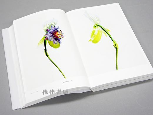 Encyclopedia of Flowers Ⅲ植物図鑑 / 植物图鉴3 商品图2