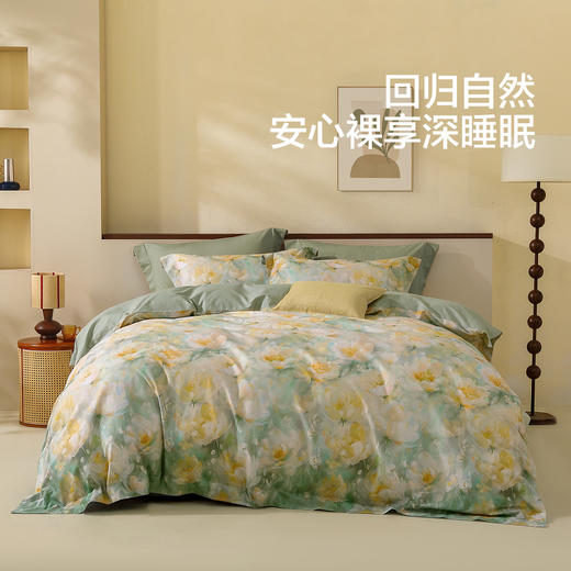 【保利专属】水星家纺全棉活性印花四件套 商品图0
