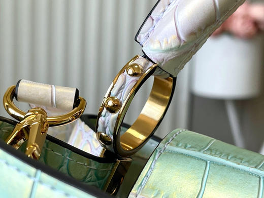 秋冬特惠💰1530 渠道级LV 新品🔸te级LV精品🔸N93163/M48865五彩流金鳄鱼纹 商品图5