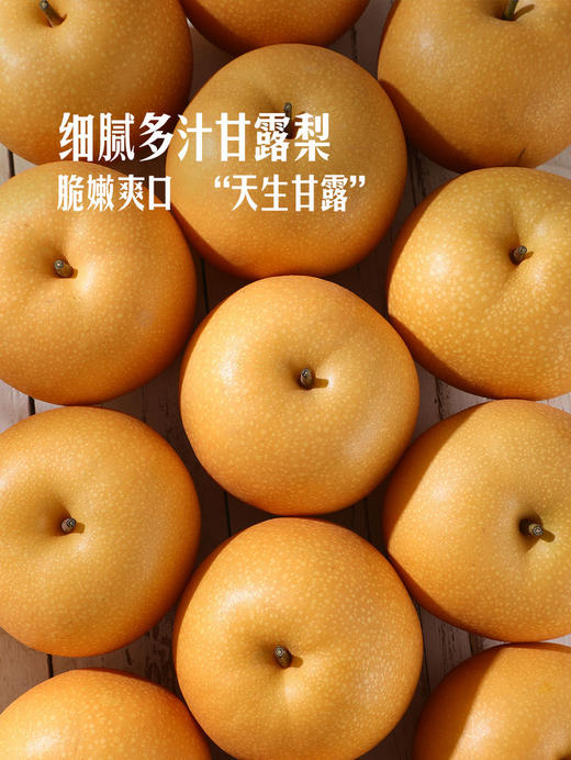 MM 山姆 山东甘露梨 3kg 商品图4