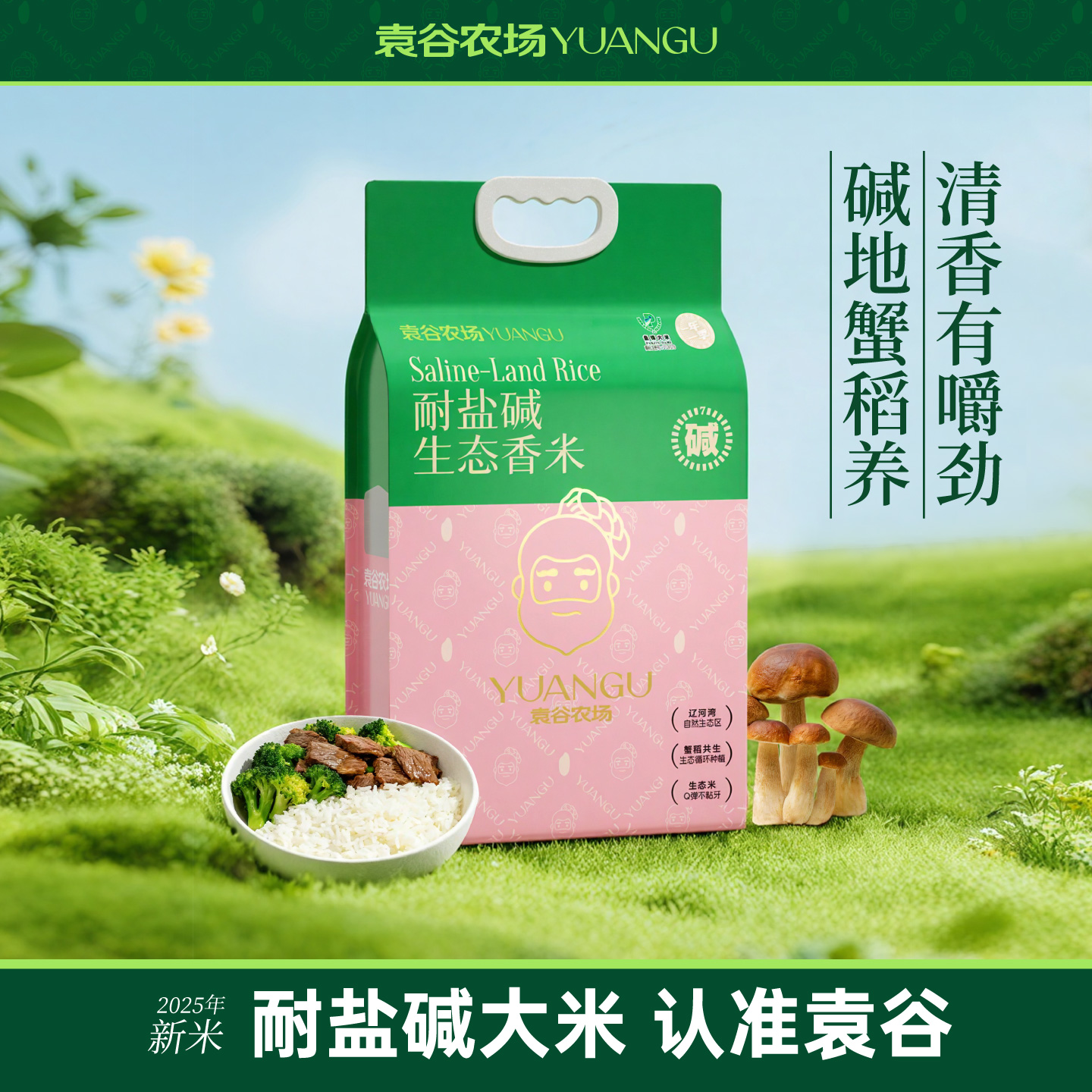 袁谷农场耐盐碱生态香米5kg蟹田稻长粒香米10斤自然米香口感弹牙双层真空包装