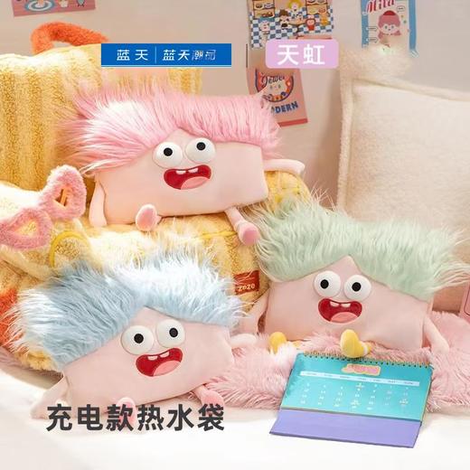 天虹热水袋【21003948】 商品图0