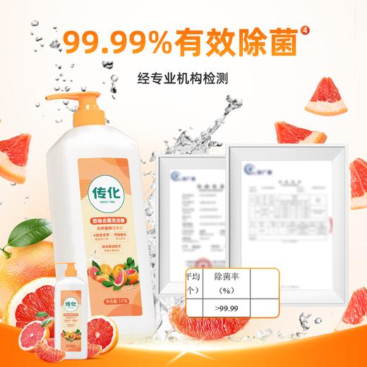 传化1kg西柚去腥洗洁精 商品图2