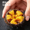 [屁侠推荐]下厨房 海胆水饺 添加大连马粪海胆  240g/袋 商品缩略图2
