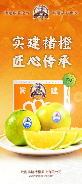 实建褚橙 冰糖橙