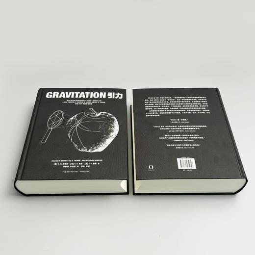 引力  读懂爱因斯坦的宇宙，从《引力》开始 一部重塑时空认知的经典巨著，诺奖得主深度推崇的广义相对论圣经 商品图1