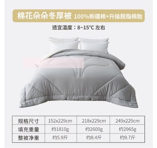 雅芳婷（A-Fontane）2025年秋冬新款100%新疆棉花被加厚保暖纯棉被子 249X229cm 商品图0