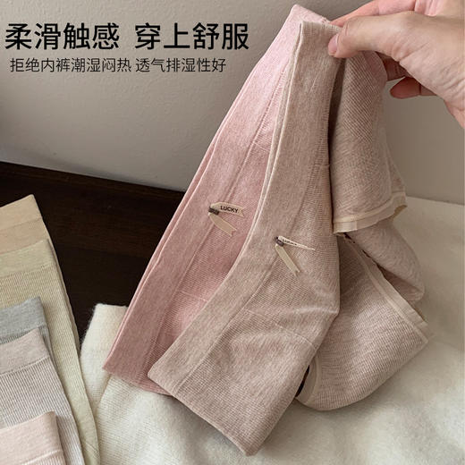 女士彩纱棉裆高弹力无缝舒适内裤三角裤8665 商品图4