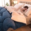 【YW】无忧购冬季厚被子双面加绒加厚保暖被芯（截单后3-5天发货) 商品缩略图11