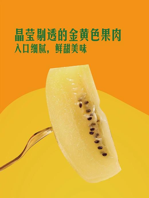 MM 山姆 进口金奇异果15粒（净重1.8kg） 商品图4