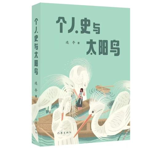 《个人史与太阳鸟》连亭散文集 商品图0