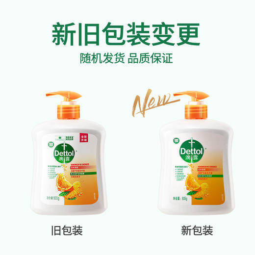 滴露抑菌洗手液自然清新500g 商品图4