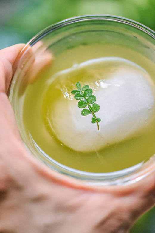 【北冰洋HPP羽衣甘蓝🥬复合果蔬汁】 好喝的健康快乐水  酸甜无添加 配料表干净​  ≥15%羽衣甘蓝+苹果汁+柠檬汁 HPP冷压工艺 商品图13