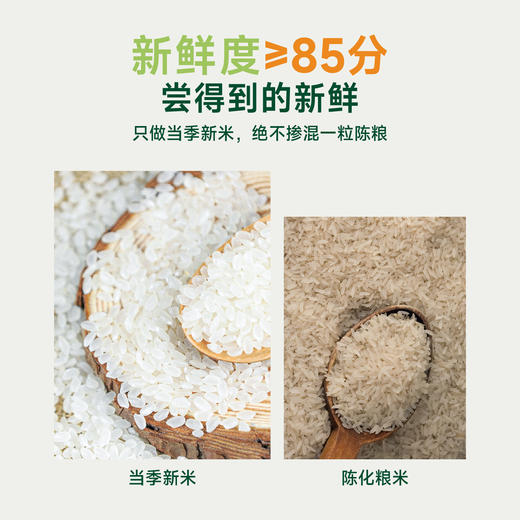 袁谷农场耐盐碱生态大米5kg东北盐碱地无污染蟹稻共生生态长粒米10斤双层真空包装 商品图1