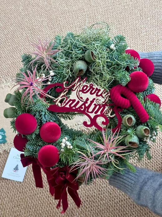 圣诞节诺贝松圣诞花环合集 商品图6