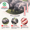 赫章可乐猪腊肉腊香肠五花腿肉烟熏正宗贵州老字号土法喂养肉香浓郁 商品缩略图5