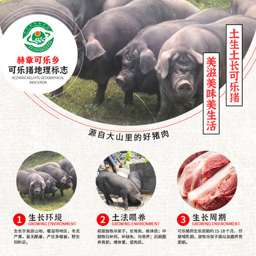 赫章可乐猪腊肉腊香肠五花腿肉烟熏正宗贵州老字号土法喂养肉香浓郁 商品图5