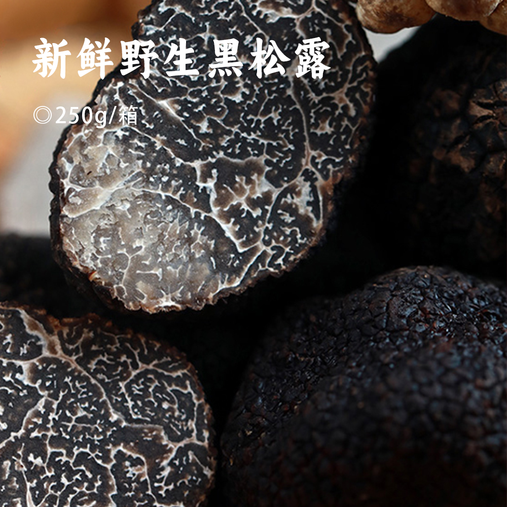 野生黑松露 | 天然顶级食材 一年仅此一季 高海拔有机生长 肉质细腻 香浓味醇  人工甄选无污染