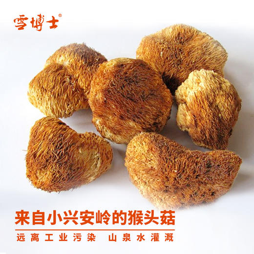 有机猴头菇 60g/120g 商品图2