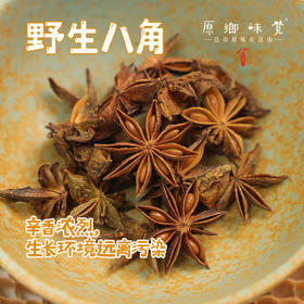 野生八角/香料（成都仓库-顺丰快递）| 80g/罐，来自云南红河，采集人：野村长【合作生产，公平贸易】