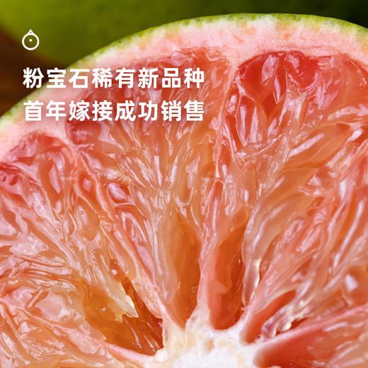 企鹅市集|福建漳州 嫩柚组合 青媛柚 / 粉宝石柚 多规格可选 爽朗清甜 果肉粉嫩 商品图1