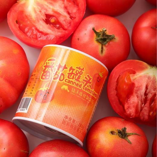 有机番茄罐头 绿手指有机基地种植番茄 280g/罐【京东快递送货上门】 商品图0