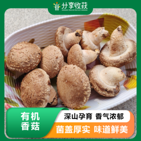 有机香菇 | 合作生产 | 基地直发 *Organic mushroom