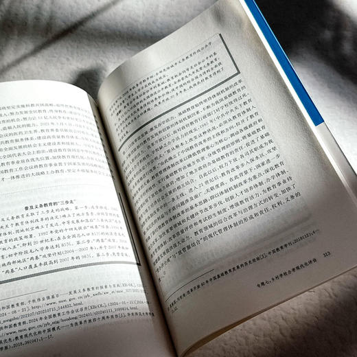 乡村学校评估 乡村振兴中的学校发展 乡村校长培训丛书 商品图13