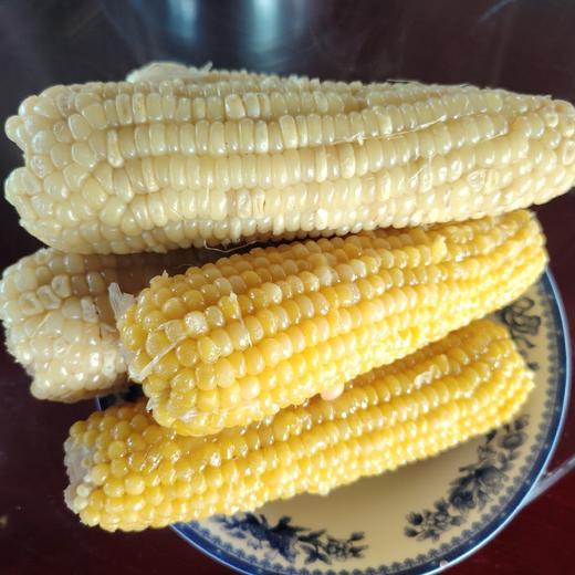 24年粘玉米 商品图0