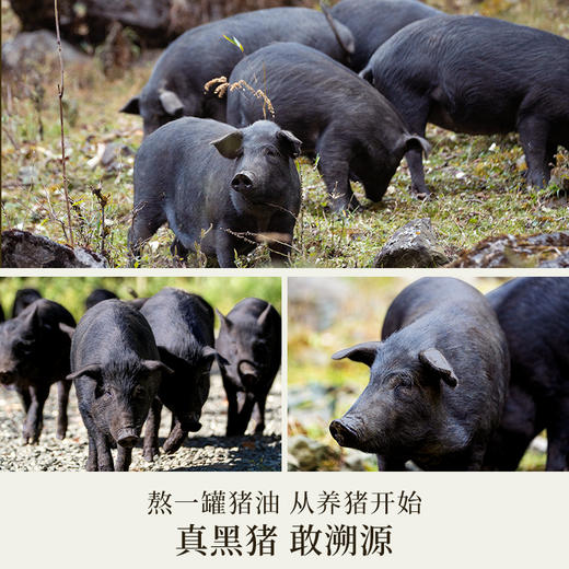 璞匠黑猪猪油食用大荤油家用猪油膏白油炒菜拌饭面起酥油烘焙 商品图2