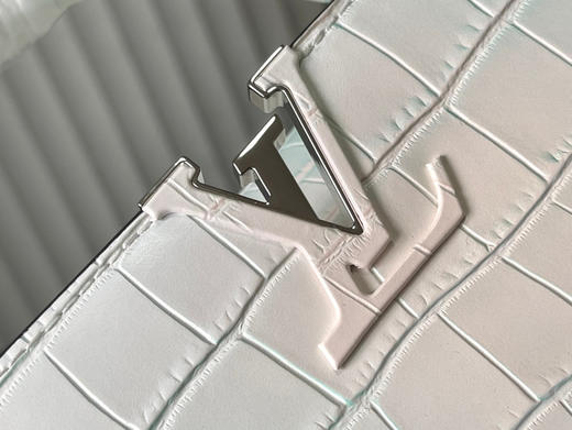 秋冬特惠💰1530 渠道级LV 新品🔸te级LV精品🔸N93163/M48865白拼绿鳄鱼纹 商品图3