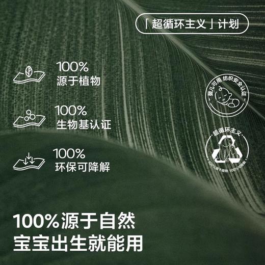 babycare紫盖湿巾 婴幼儿手口湿巾便携式 20抽/包 10包 20包  经典款 商品图1