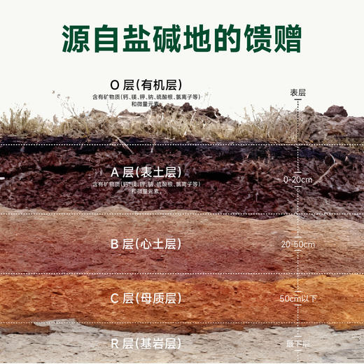 袁谷农场耐盐碱生态香米5kg蟹田稻长粒香米10斤自然米香口感弹牙双层真空包装 商品图4