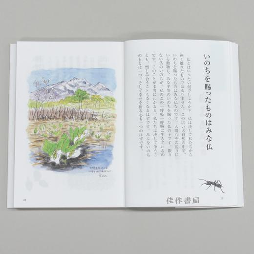 こころ ころころ：はがきで送る禅のこころ / 心灵滚转：方寸间的流转禅意 商品图2