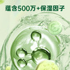 滴露抑菌洗手液茉莉绿茶250g 商品缩略图4