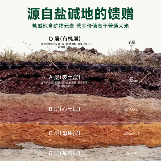 袁谷农场耐盐碱生态有机香米5kg软糯长粒香甜正宗有机大米冷饭不回生双层真空包装10斤 商品图1
