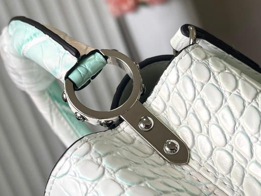 秋冬特惠💰1430 渠道级LV 新品🔸te级LV精品🔸N93163/M48865白拼绿鳄鱼纹 商品图4