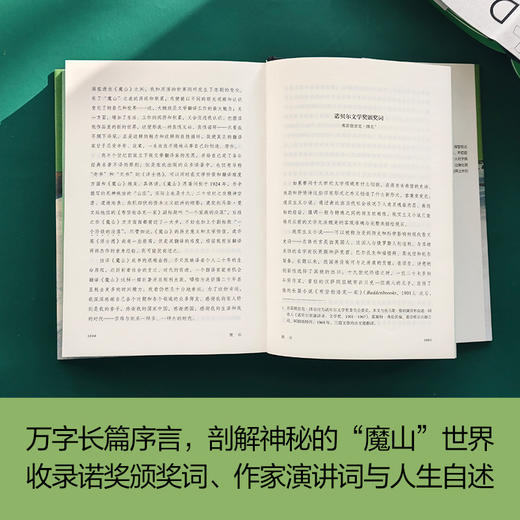 【托马斯·曼精选集】魔山 商品图3