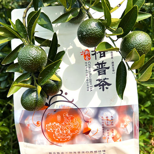 『新会柑普茶』新会生晒小青柑+勐海宫廷普洱熟茶，汤色红褐透亮，茶味柔润醇厚，柑香清幽绵长 商品图13