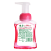 滴露泡沫洗手液樱桃芬芳250ml 商品缩略图2